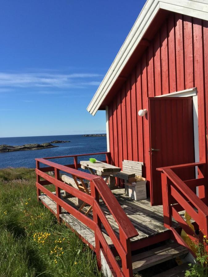 Rorbua på Toppøya Reine Eksteriør bilde